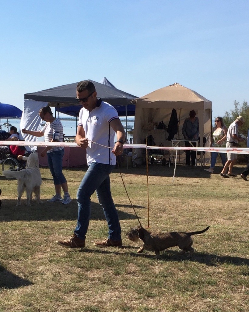 De La Vallée De L'Eau Bourde - Exposition Nationale Canine de LANTON