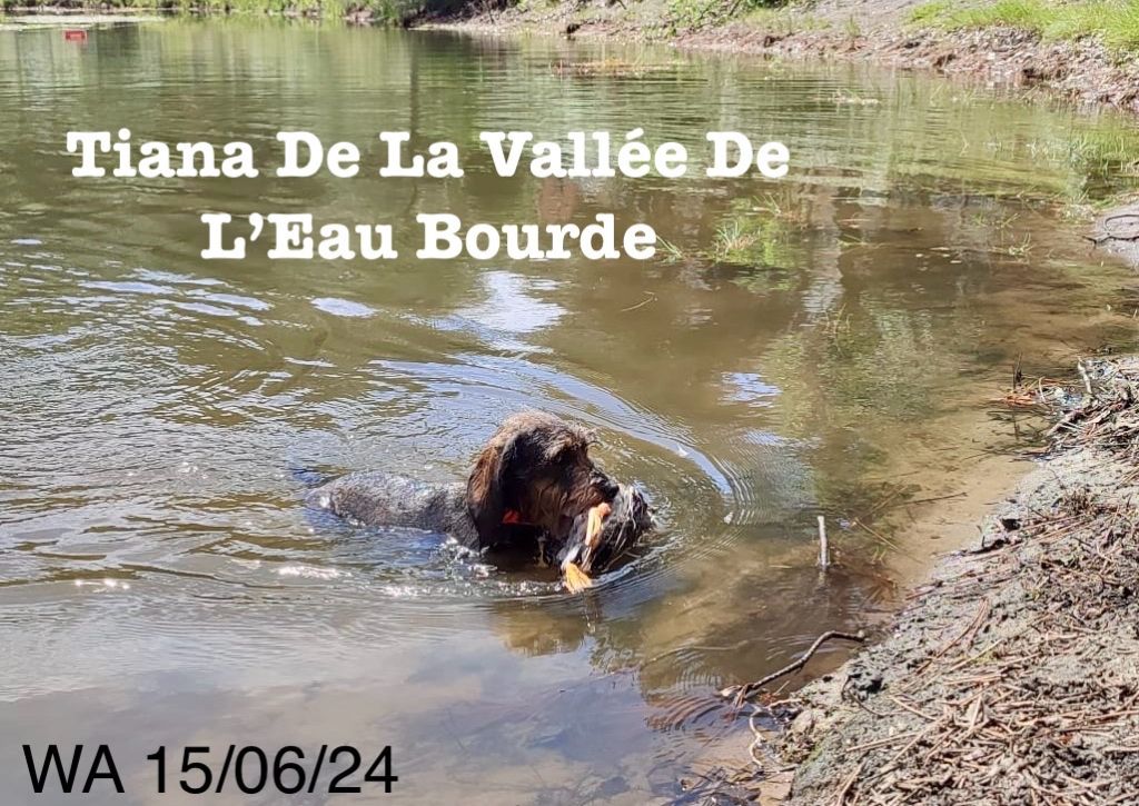 De La Vallée De L'Eau Bourde - Rapport à l'Eau "WA" le 15/06/2024 à Cestas (33)