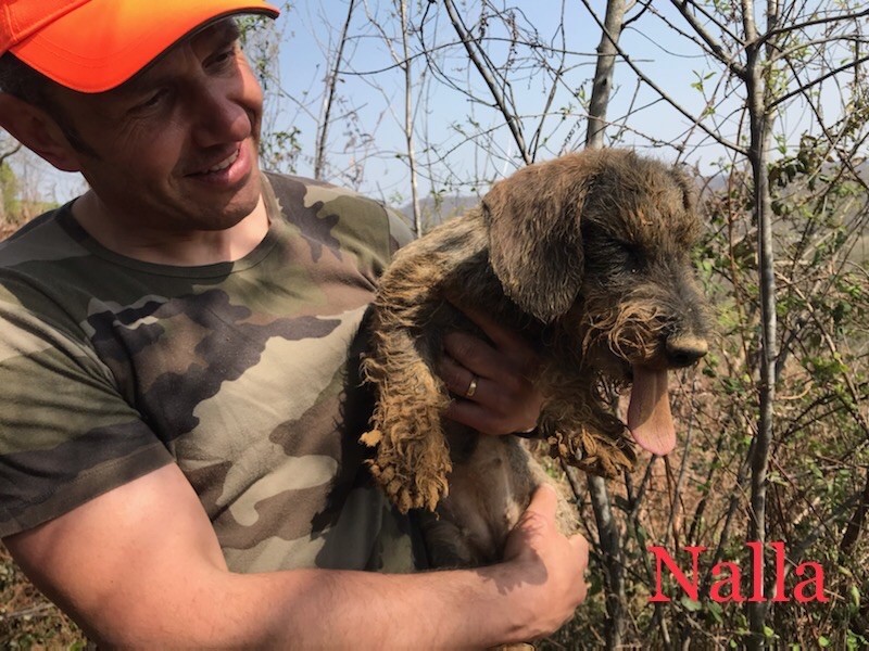De La Vallée De L'Eau Bourde - Brevet sur Terrier Naturel au Blaireau 