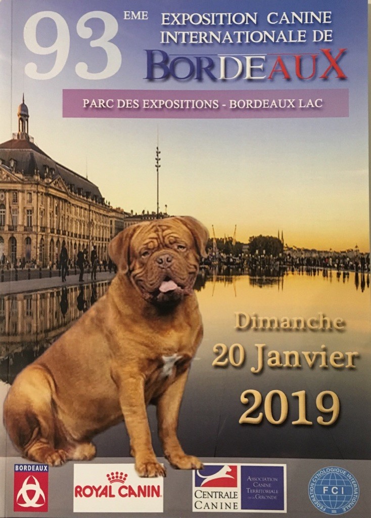 De La Vallée De L'Eau Bourde - Exposition Canine Internationale de Bordeaux